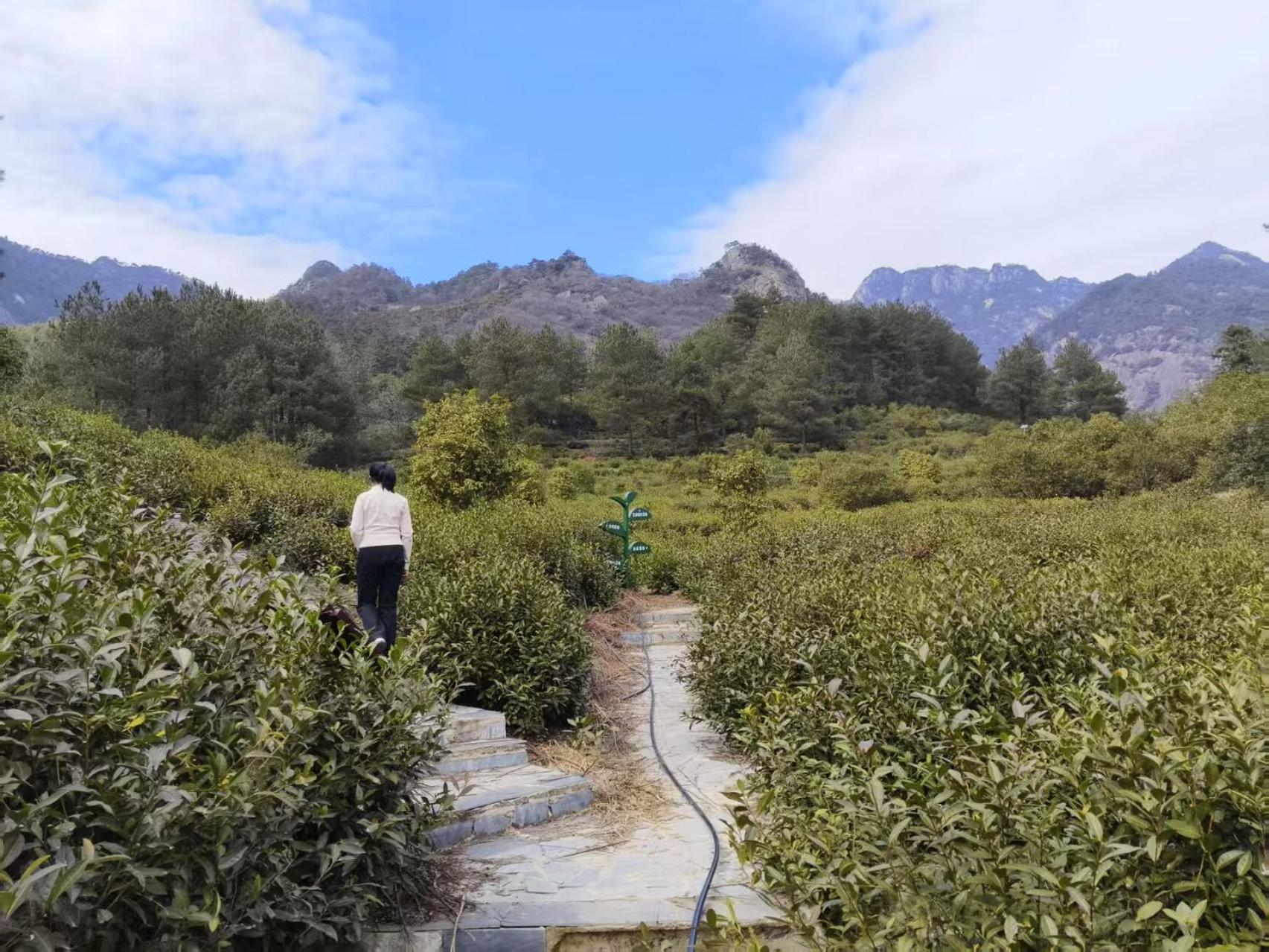 Yunshan Villa Montanhas Montanhas Huangshan Exterior foto
